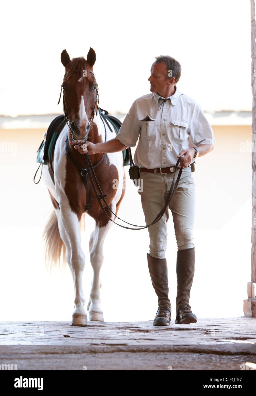 Man leading his horse into the stable, Singita Grumeti, Tanzania Stock