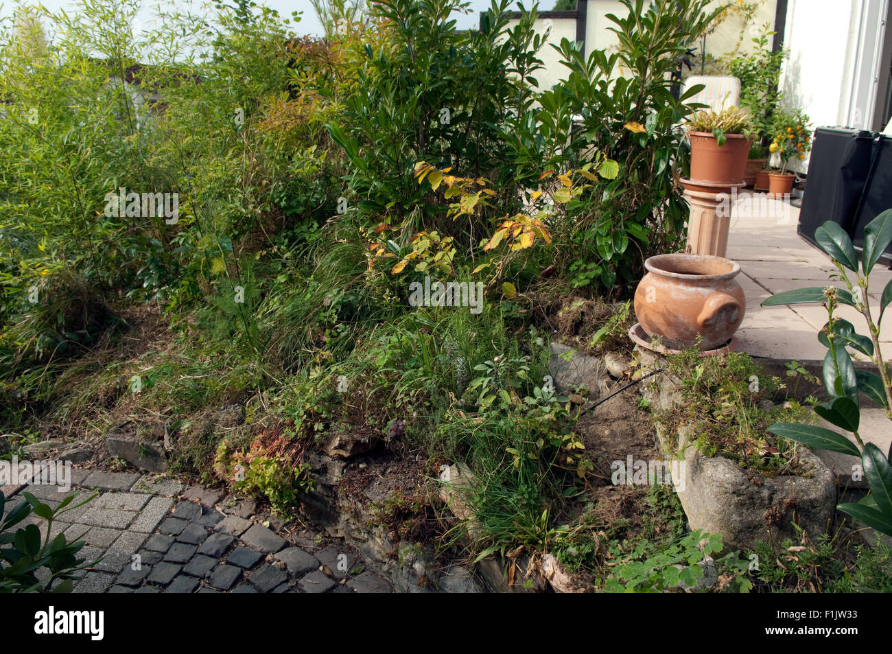 Potentieller, Steingarten; Urzustand, Stock Photo