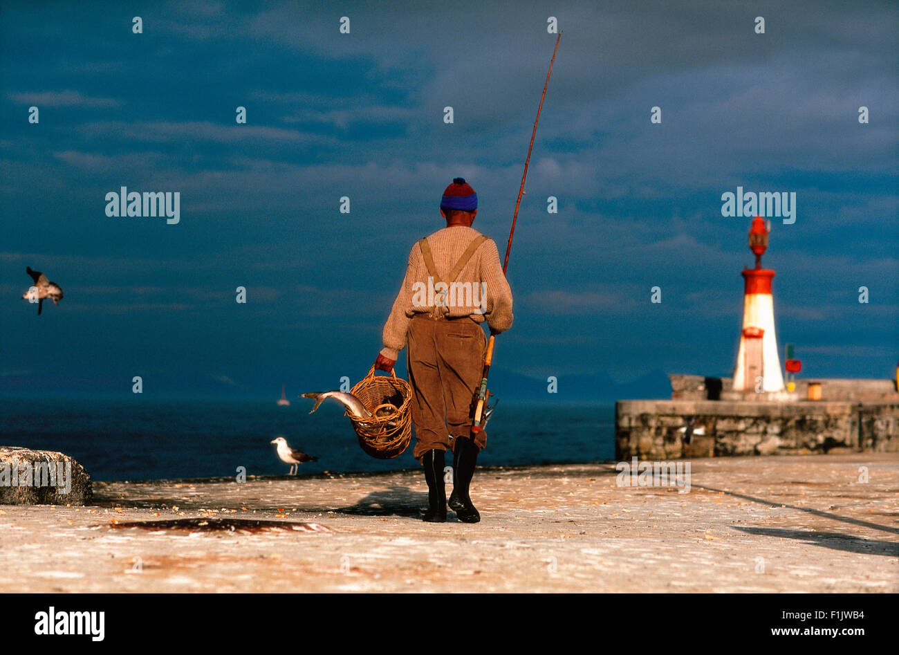 Fisherman Kalk Bay Harbour, Cape Town Western Cape, South Africa Stock Photo