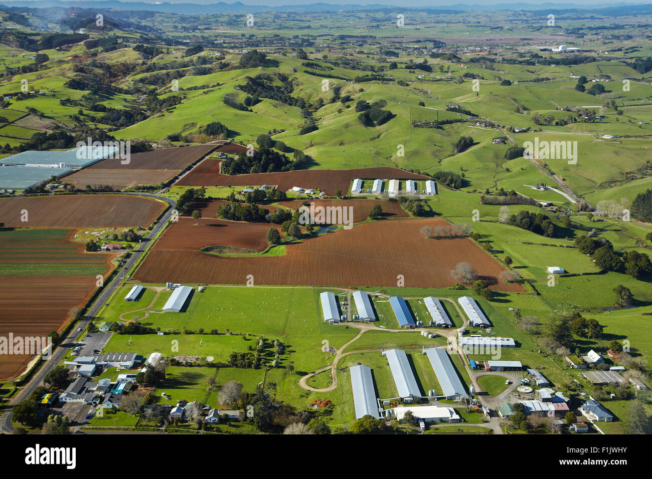 Farms near Pukekohe, South Auckland, North Island, New Zealand - aerial Stock Photo