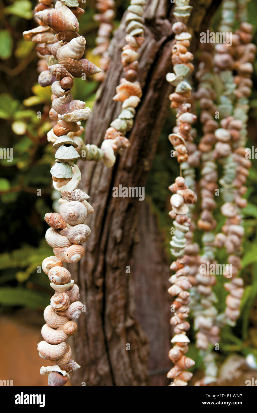 Hanging shells hires stock photography and images Alamy