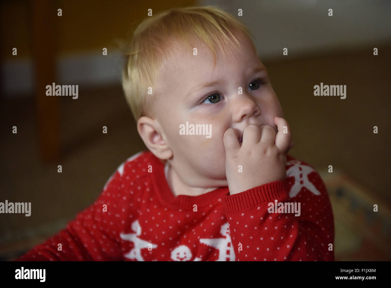 Bite drooling hires stock photography and images Alamy