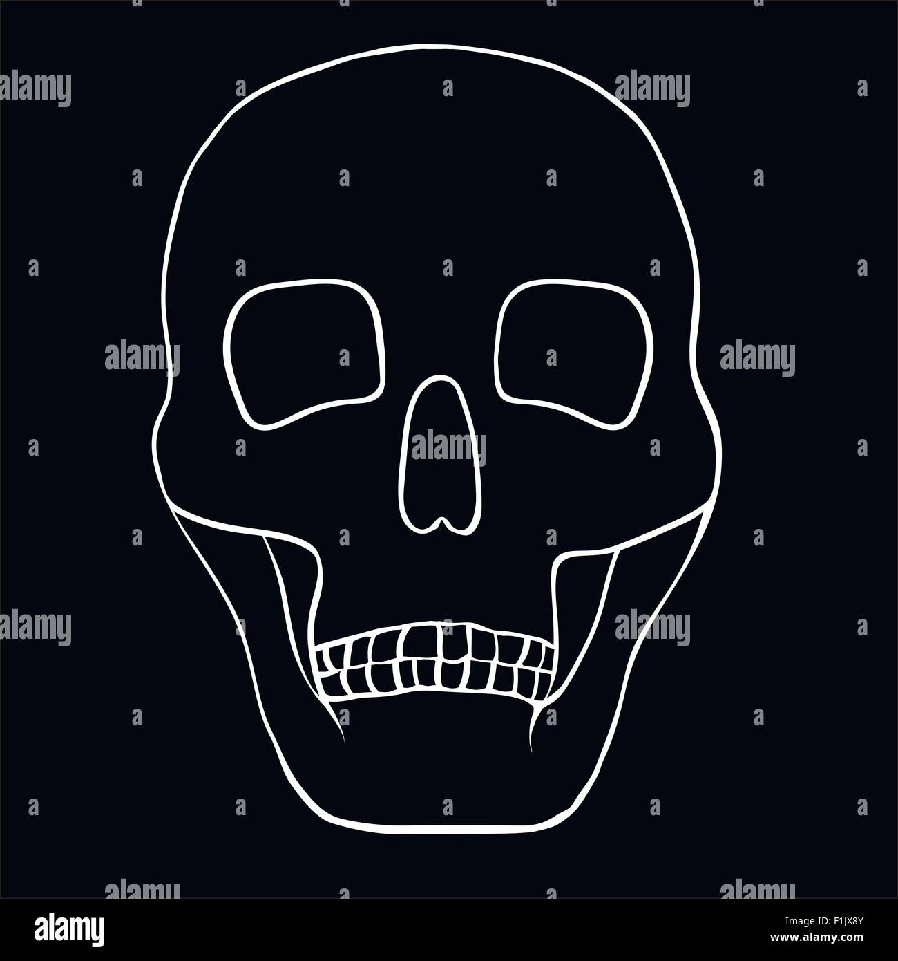 Illustration of a human skull Stock Vector Image & Art - Alamy