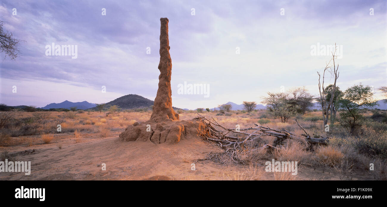 Termite Mound Kenya Stock Photo