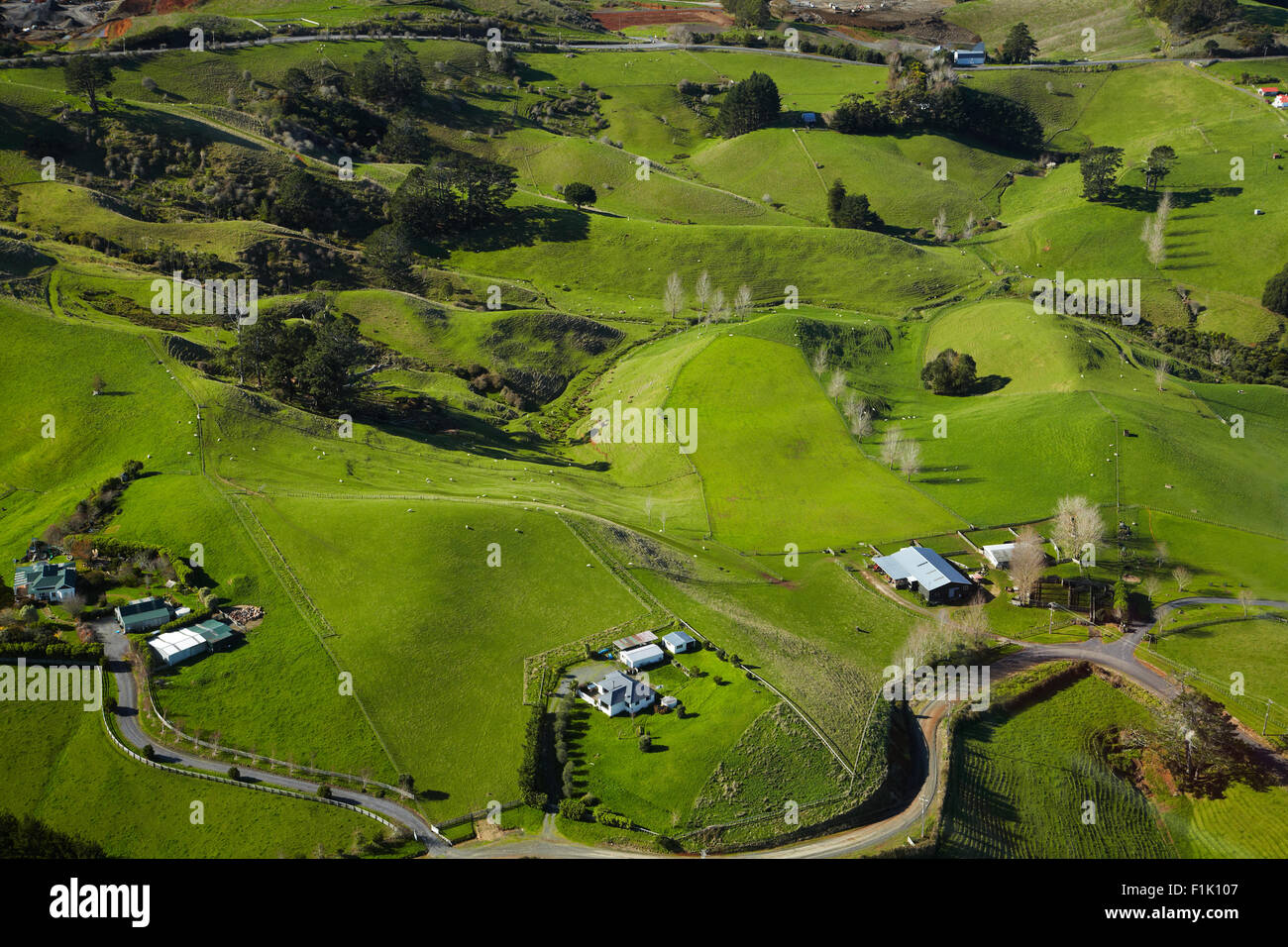 Farmland, Bombay Hills, South Auckland, North Island, New Zealand