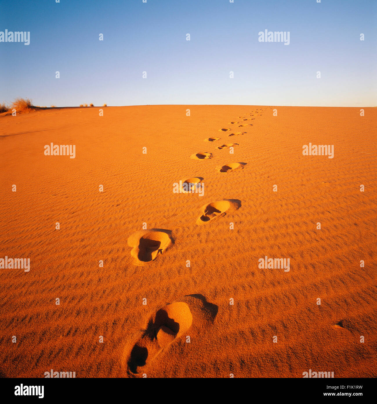 Footprints in Sand Pella, Northern Cape South Africa Stock Photo