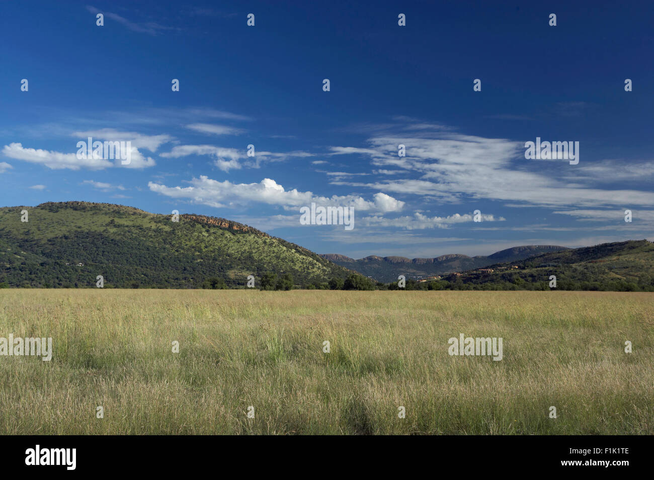 Landscape, Magaliesberg, North West Province, South Africa Stock Photo