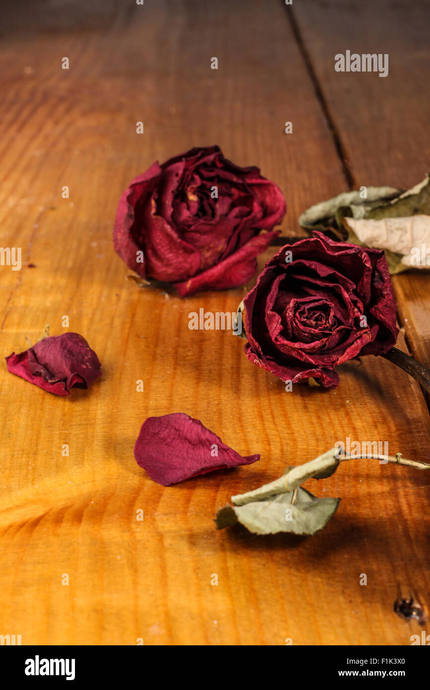 dried roses isolated on wooden background Stock Photo - Alamy