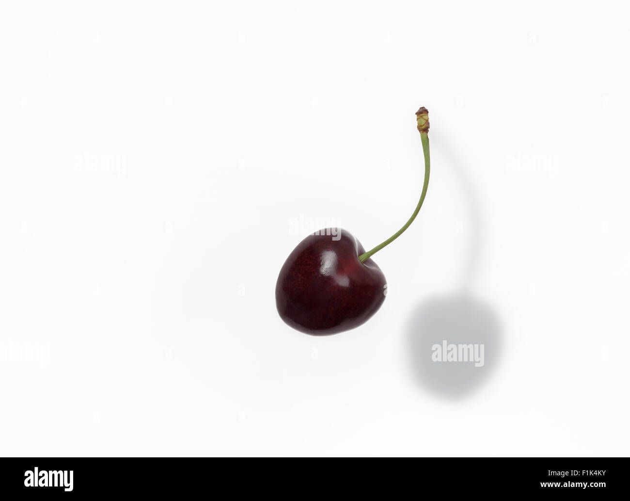 Single black cherry with shadow Stock Photo