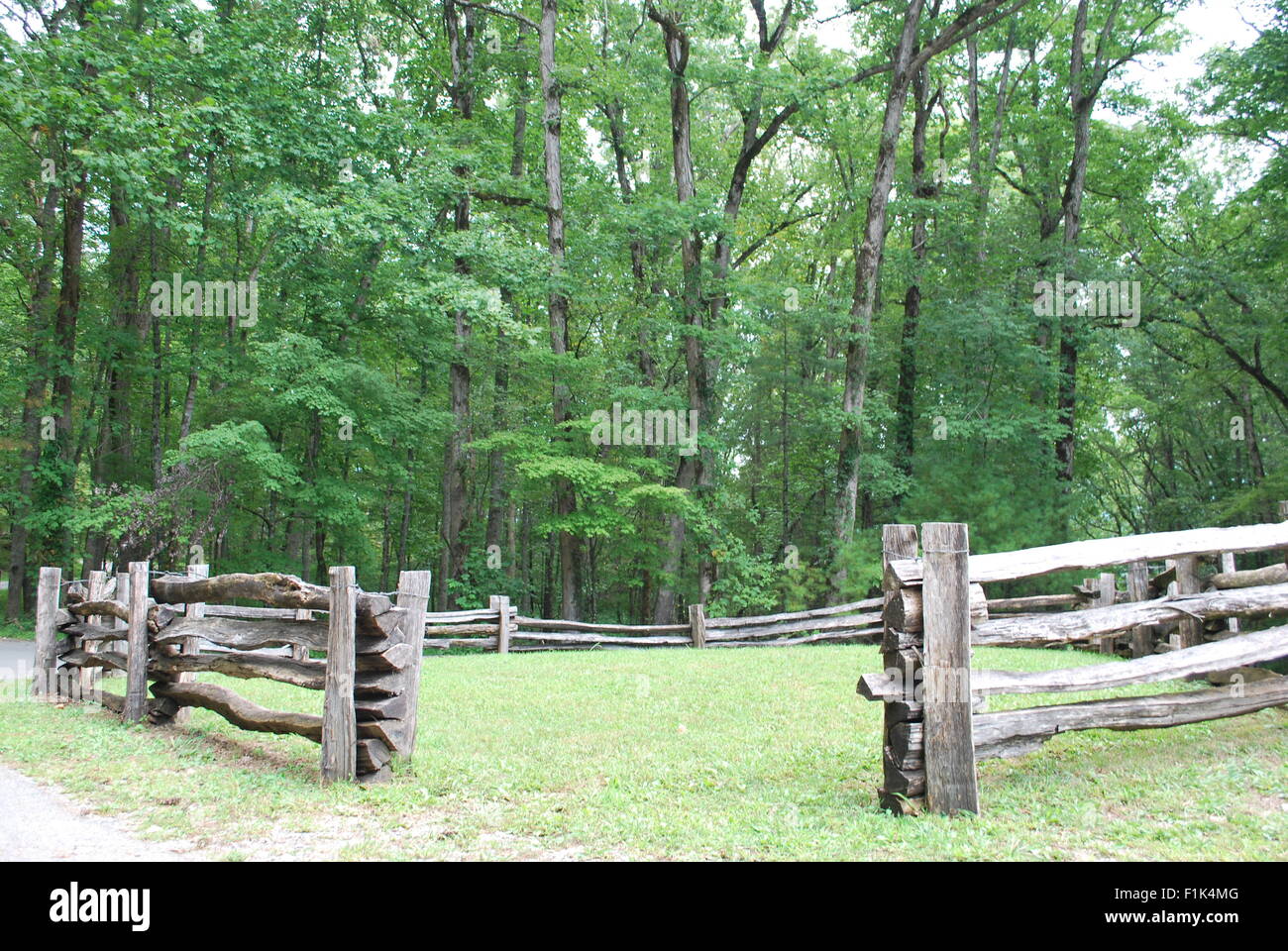 A vintage wooden fence, with forest background Stock Photo - Alamy
