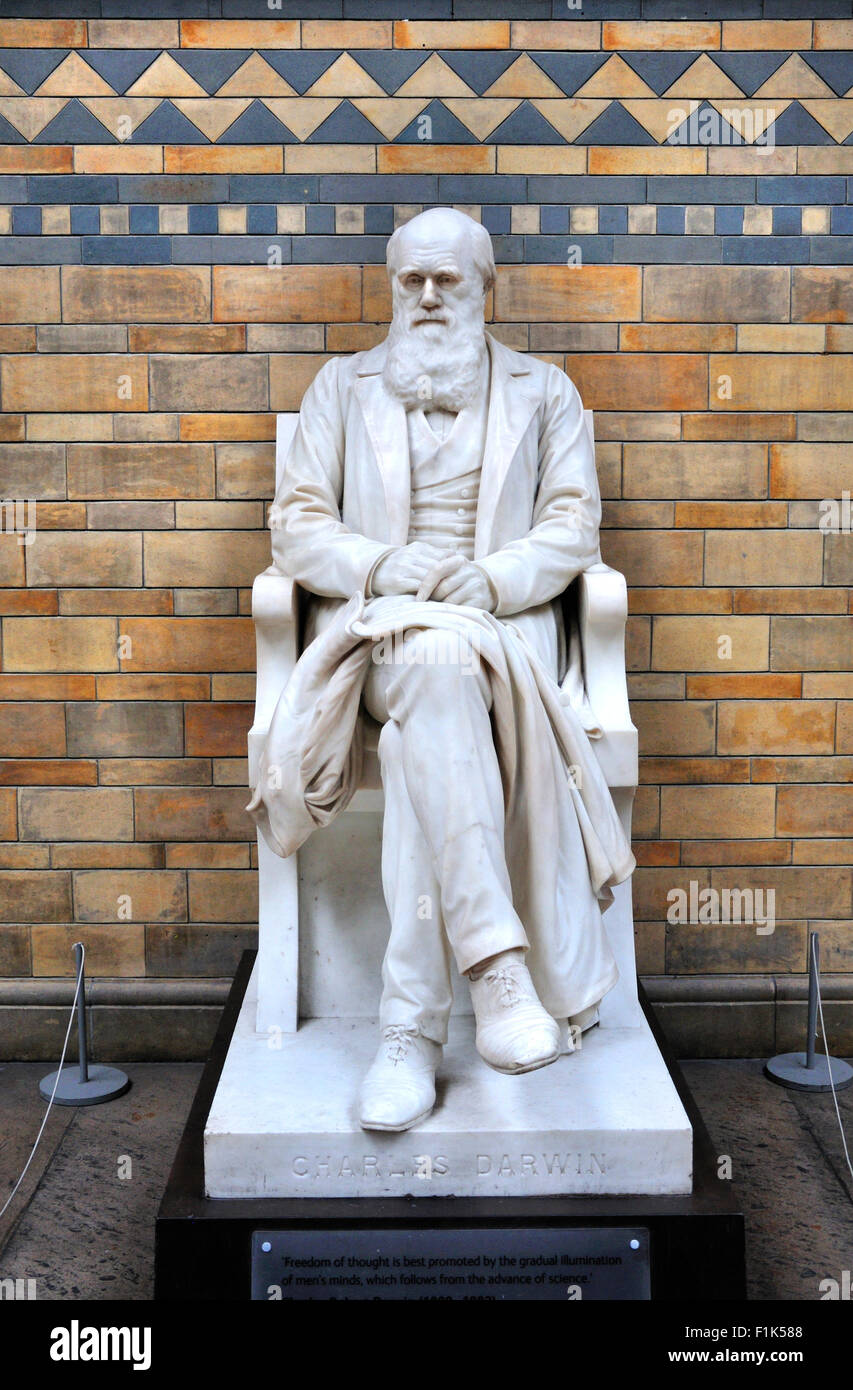 London, England, UK. Natural History Museum, Kensington. Interior. Charles Darwin statue (Sir Joseph Boehm) Stock Photo