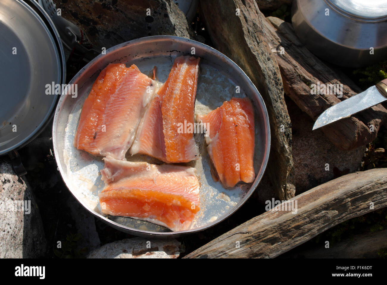 Fresh fish being cooked outdoors. Stock Photo