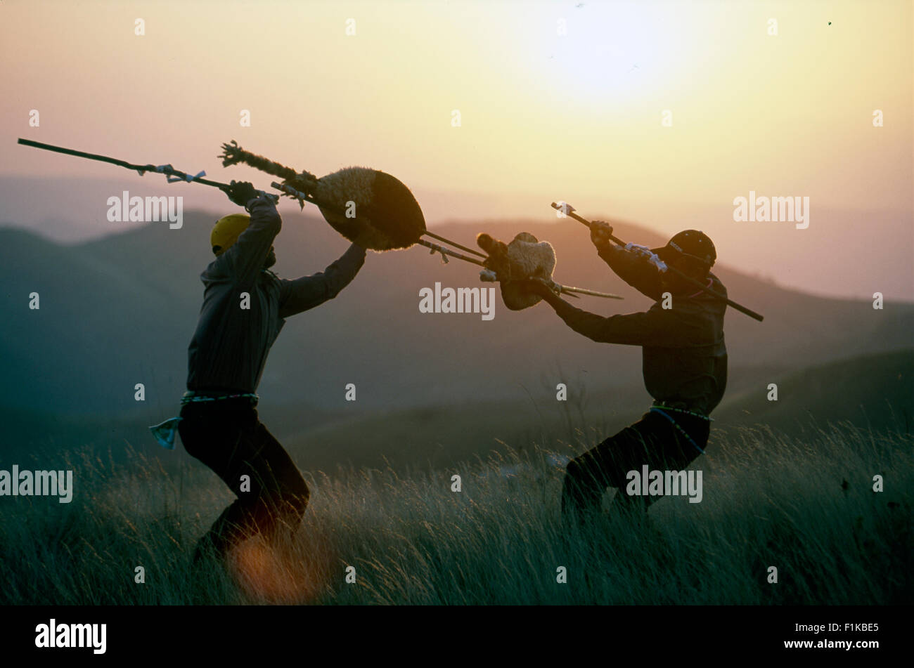 IN PICTURES  Pride and power as Zulu men show off stick fighting skills