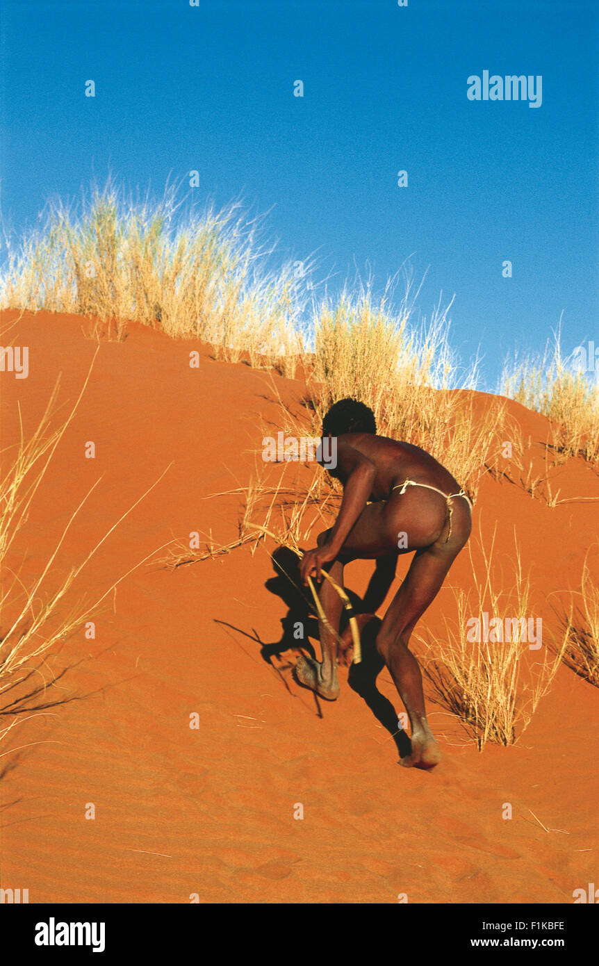 Bushman hunter climbing sand dune. Khomanni tribe, Northern Cape, South Africa, Africa Stock Photo