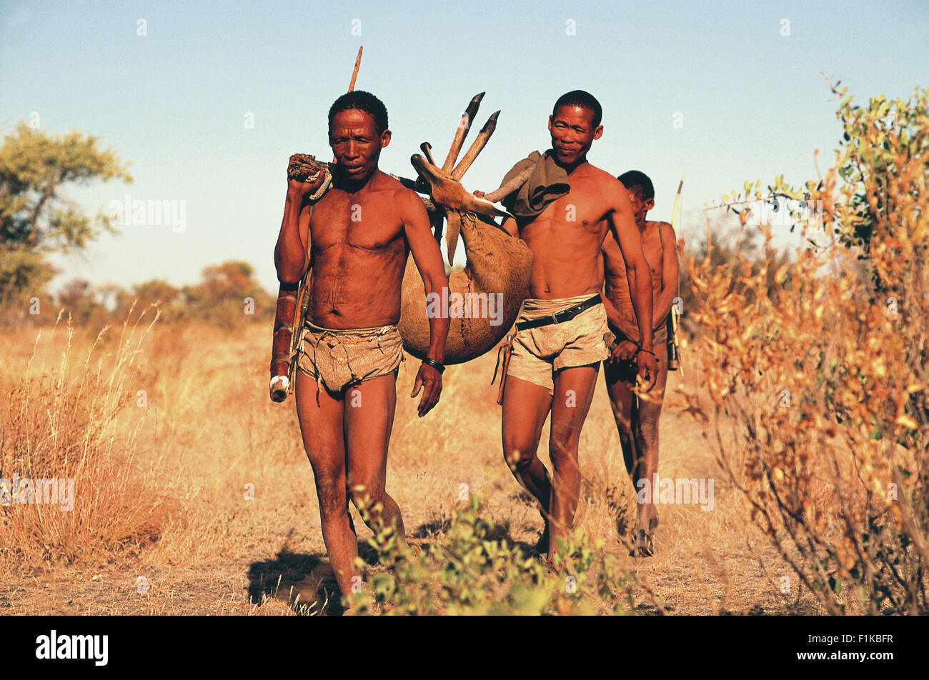 Bushman hunters carrying home kill. Botswana, Africa Stock Photo
