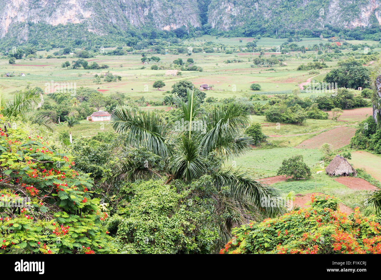 Photo make in Cuban, You see a valley named Sierra del Rosario. Stock Photo