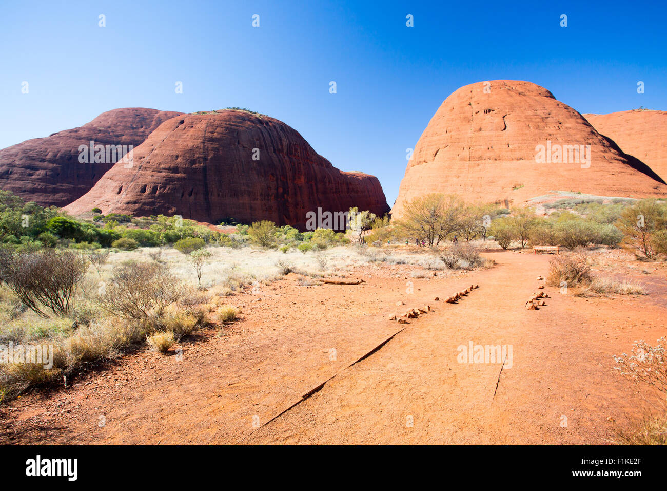 The Olgas near the Valley of the Winds walk in the Northern Territory, Australia Stock Photo