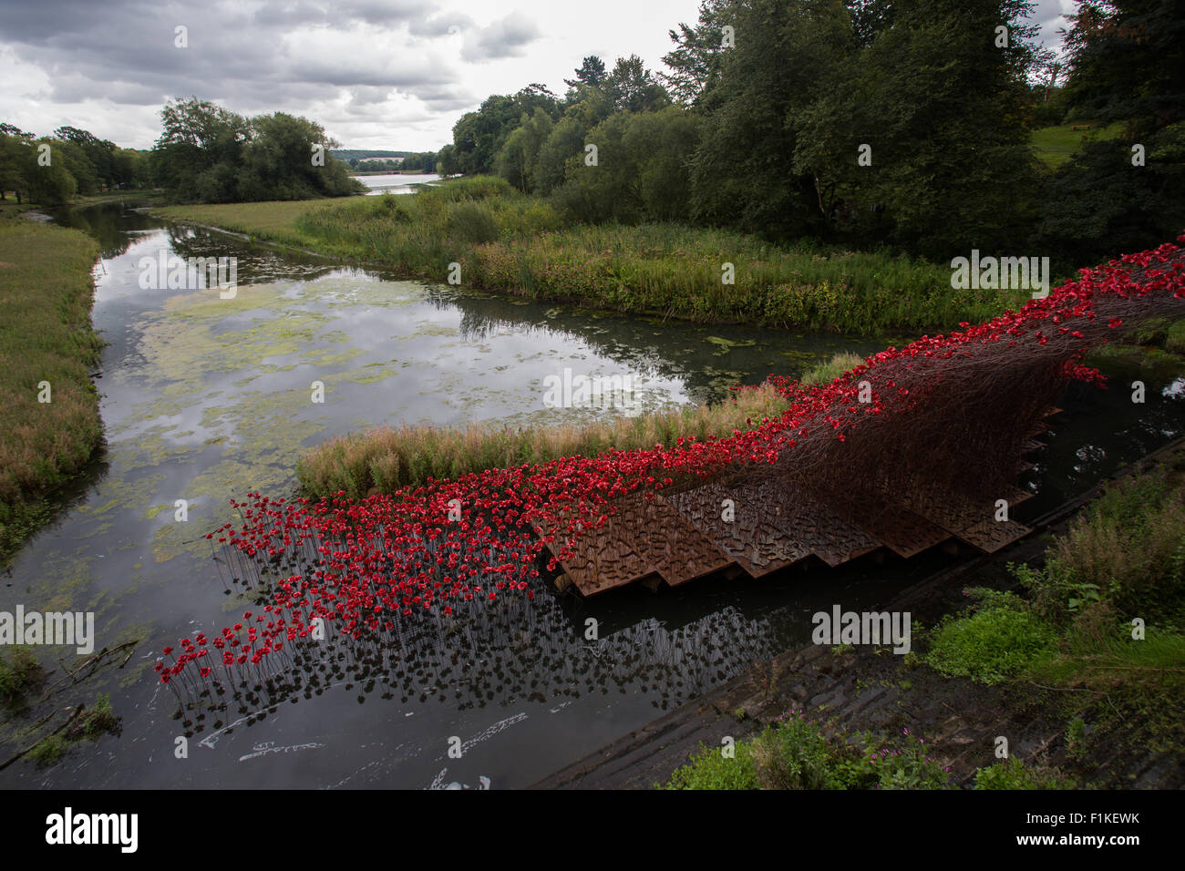 West Bretton, Wakefield, West Yorkshire, UK. 03rd Sep, 2015. 'Wave' installation at Yorkshire Sculpture Park which opened today Credit:  ipm/Alamy Live News Stock Photo