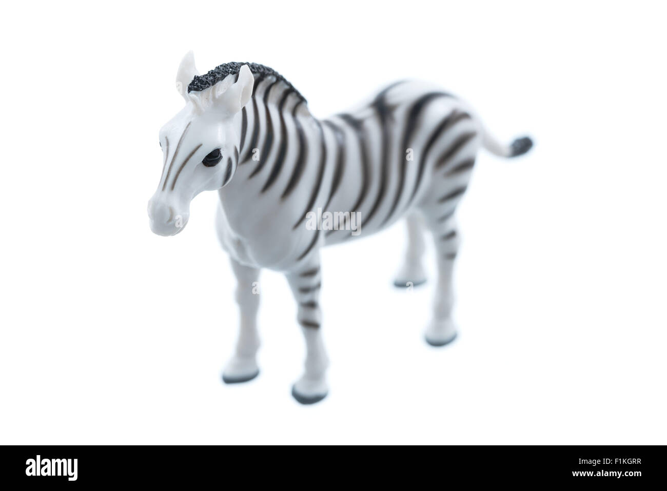 A small toy zebra isolated on a white background Stock Photo Alamy
