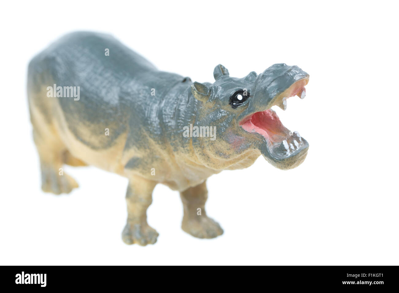 A small toy hippo isolated on a white background Stock Photo Alamy