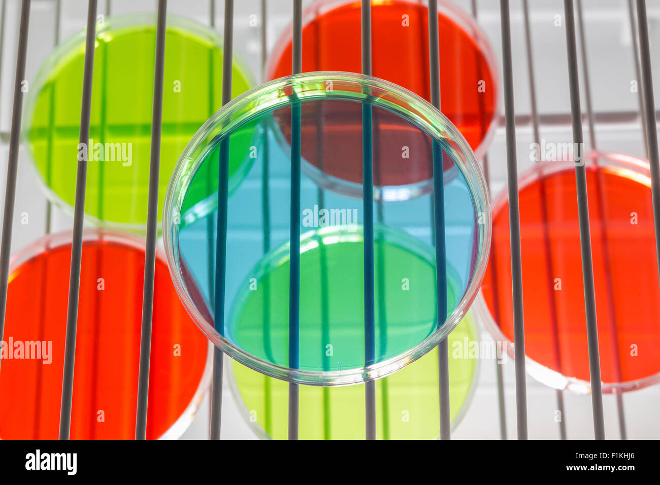 Biochemical test for bacteria hires stock photography and images Alamy