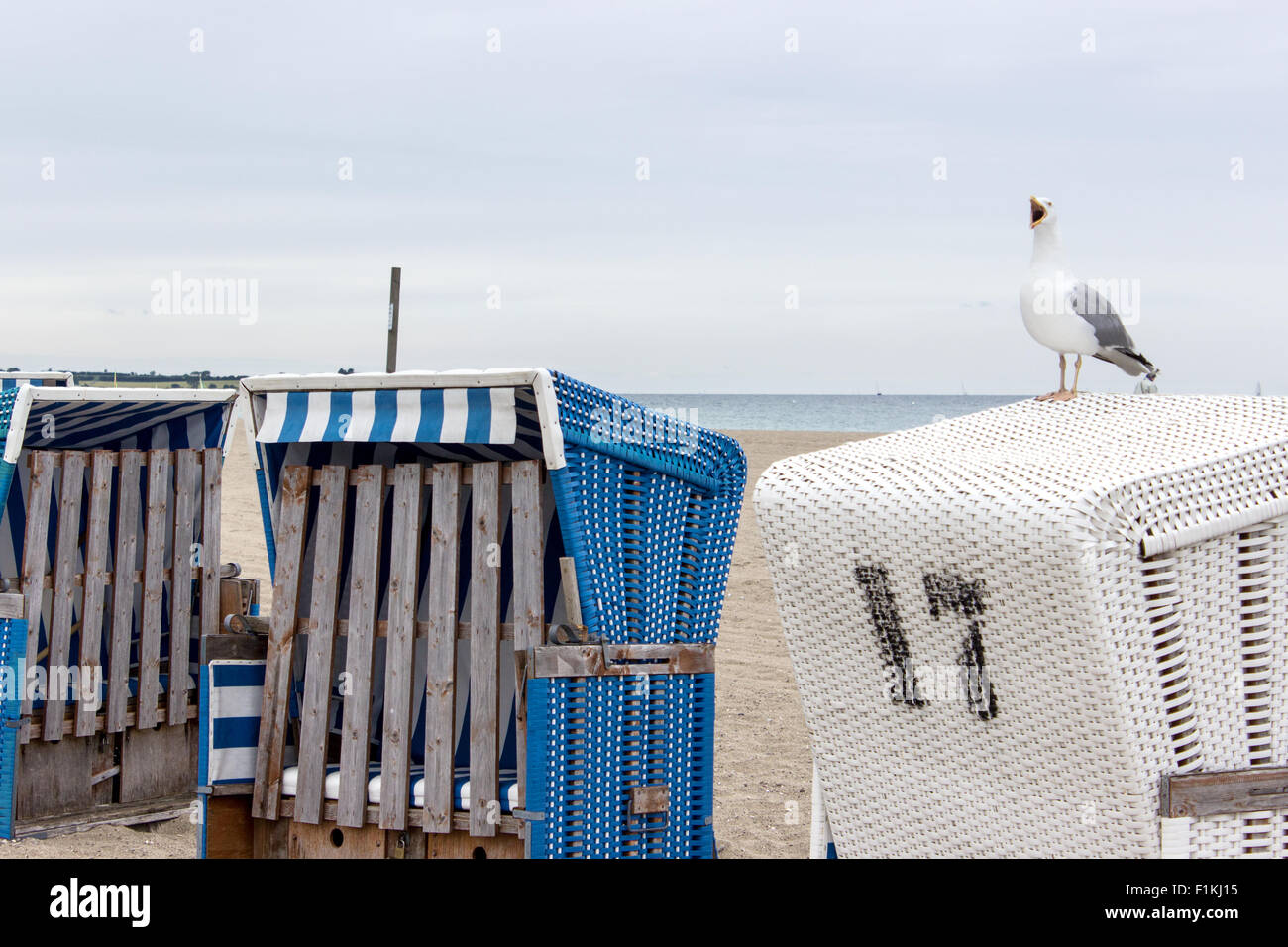 a seagull on a beach chair Stock Photo