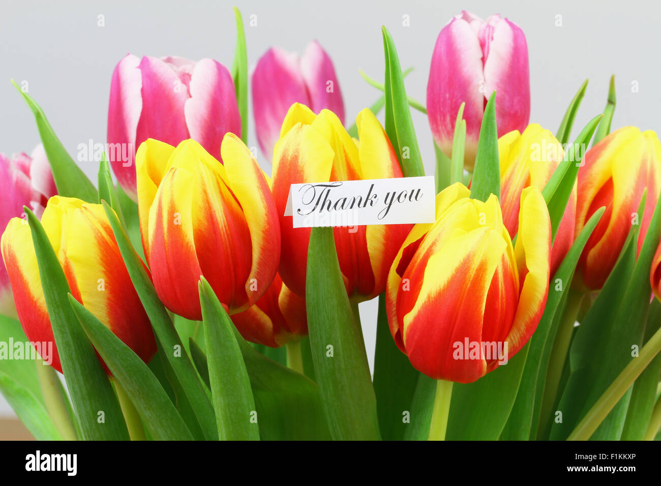 Thank you card with colorful tulips Stock Photo - Alamy