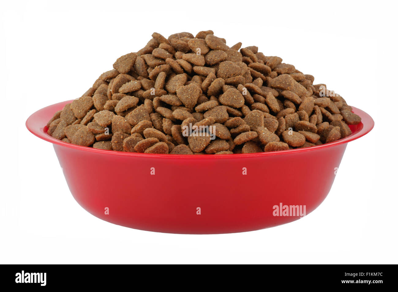 Moist Healthy Dog or cat food in an animal feeding bowl on a white background Stock Photo Alamy