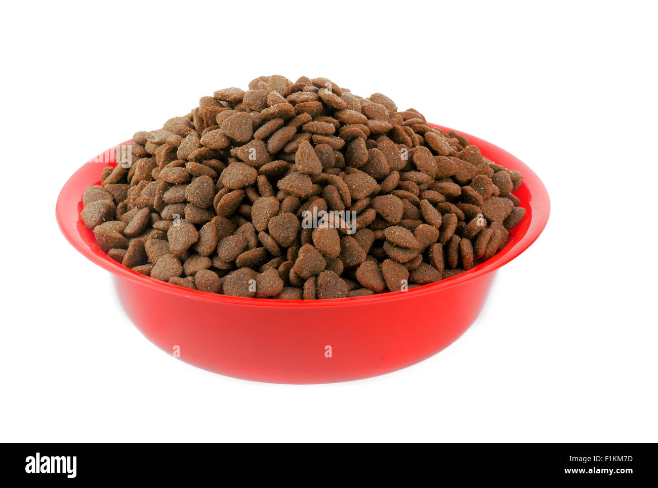 Moist Healthy Dog or cat food in an animal feeding bowl Stock Photo