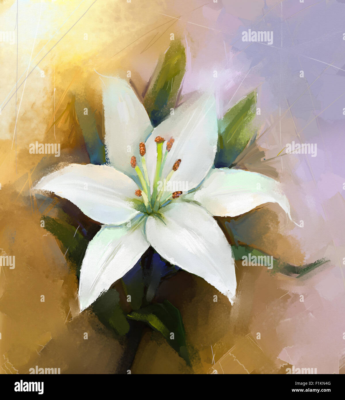 Oil painting white lily flower blossom Stock Photo Alamy