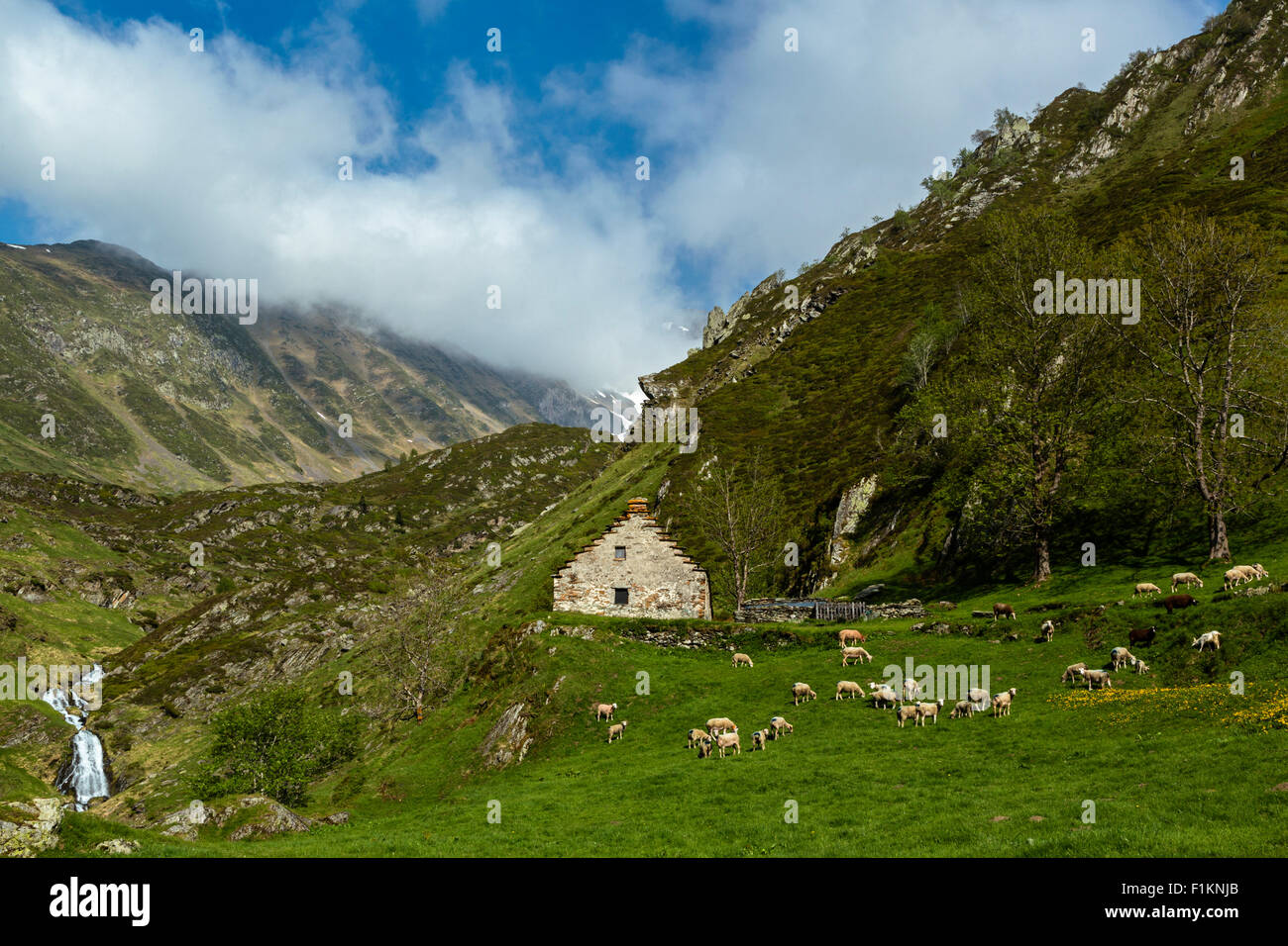Valley of Lyse,national park of Pyrenees, Hautes Pyrenees, France Stock Photo