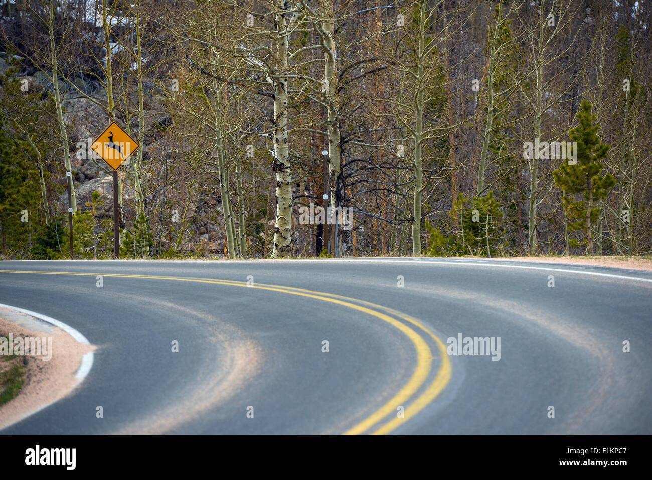Watch For Deer Road Warning Road Sign on the Road Curve. Dangerous Mountain Road. Stock Photo