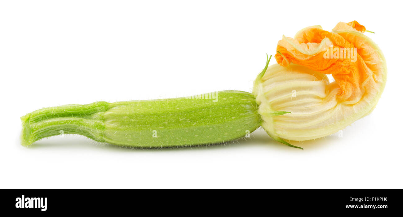 Fresh raw baby zucchini with flower isolated on white background. Baby