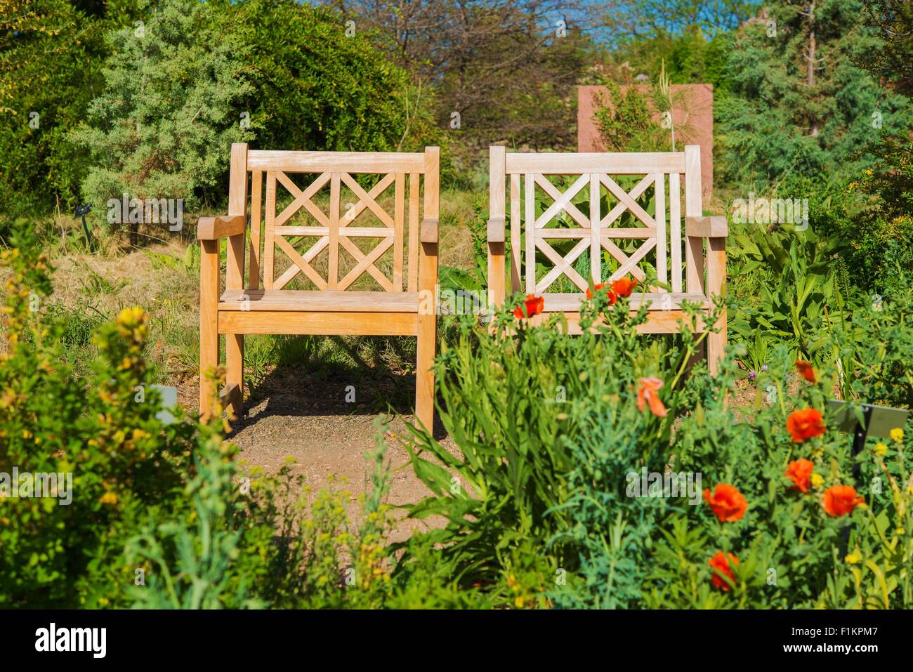 Two Wooden Garden Chairs in the Middle of the Garden Stock Photo - Alamy