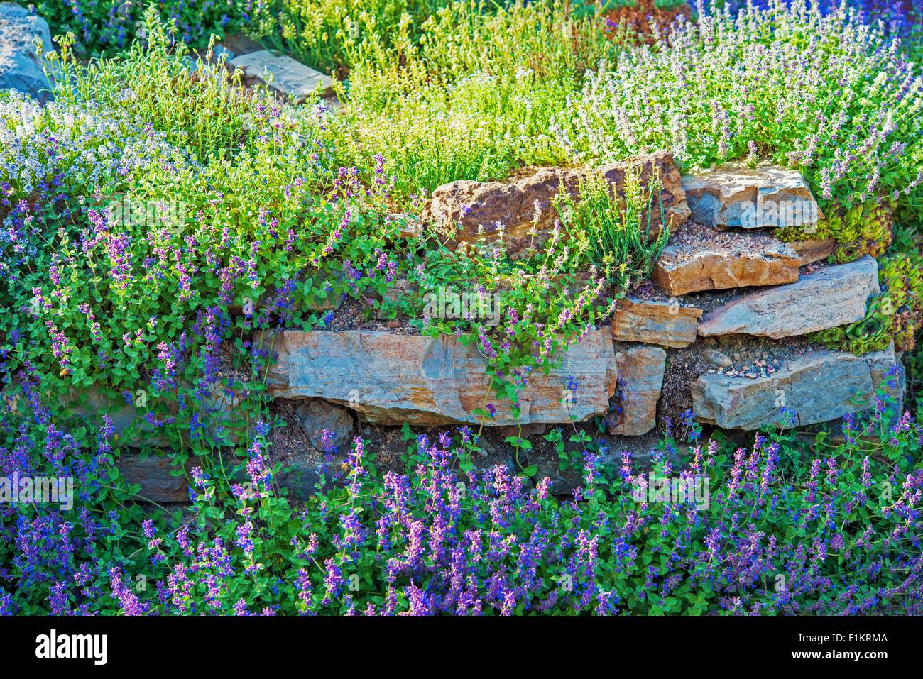 Floral garden hi-res stock photography and images - Alamy
