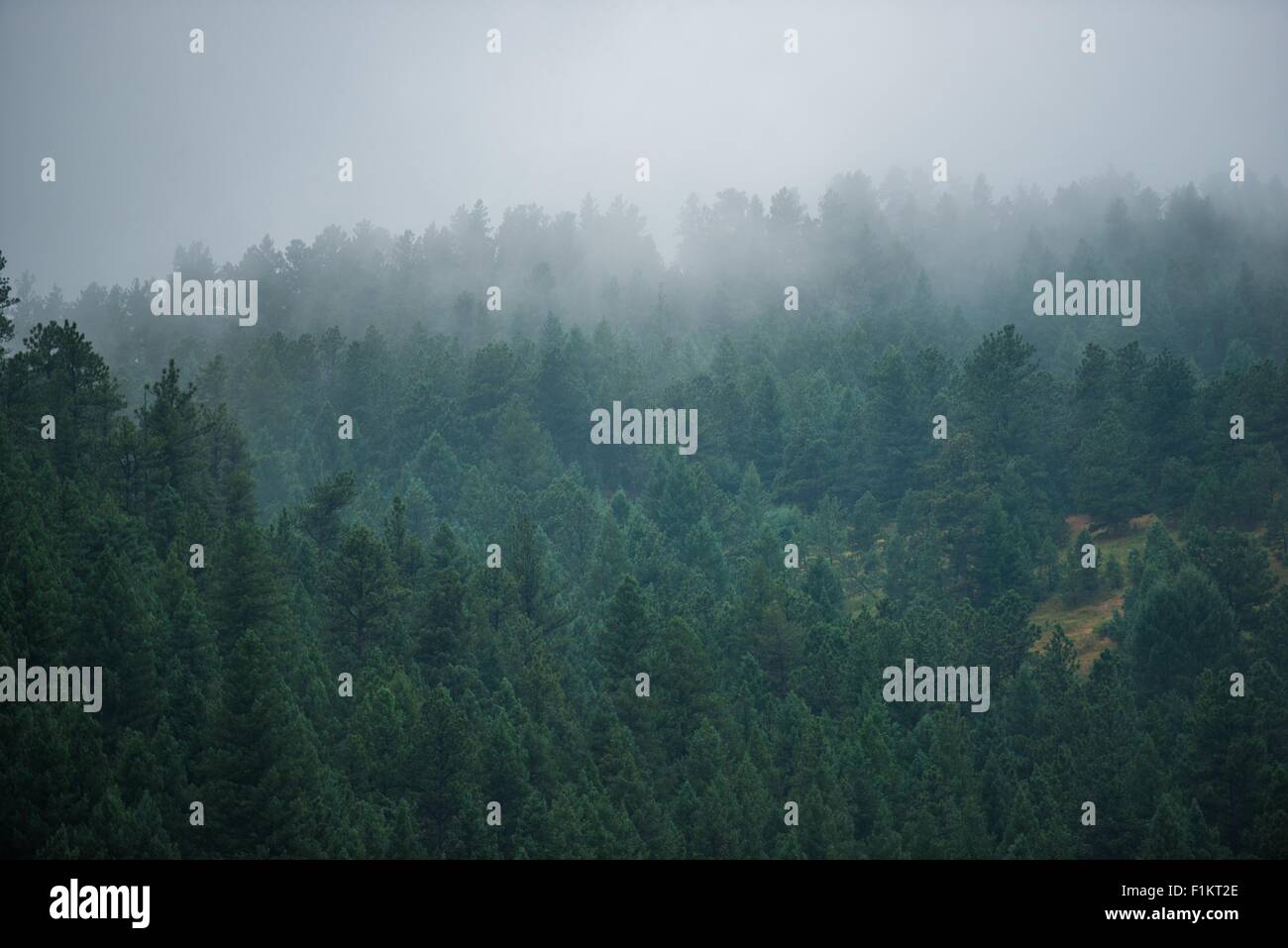 Fog foggy weather hi-res stock photography and images - Alamy