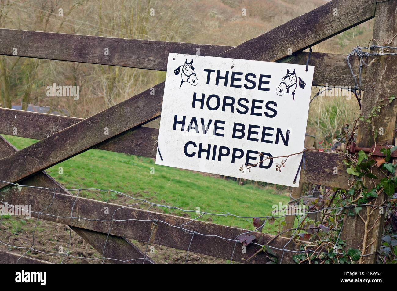 A horses have been micro chipped warning sign for protection from stealing Stock Photo