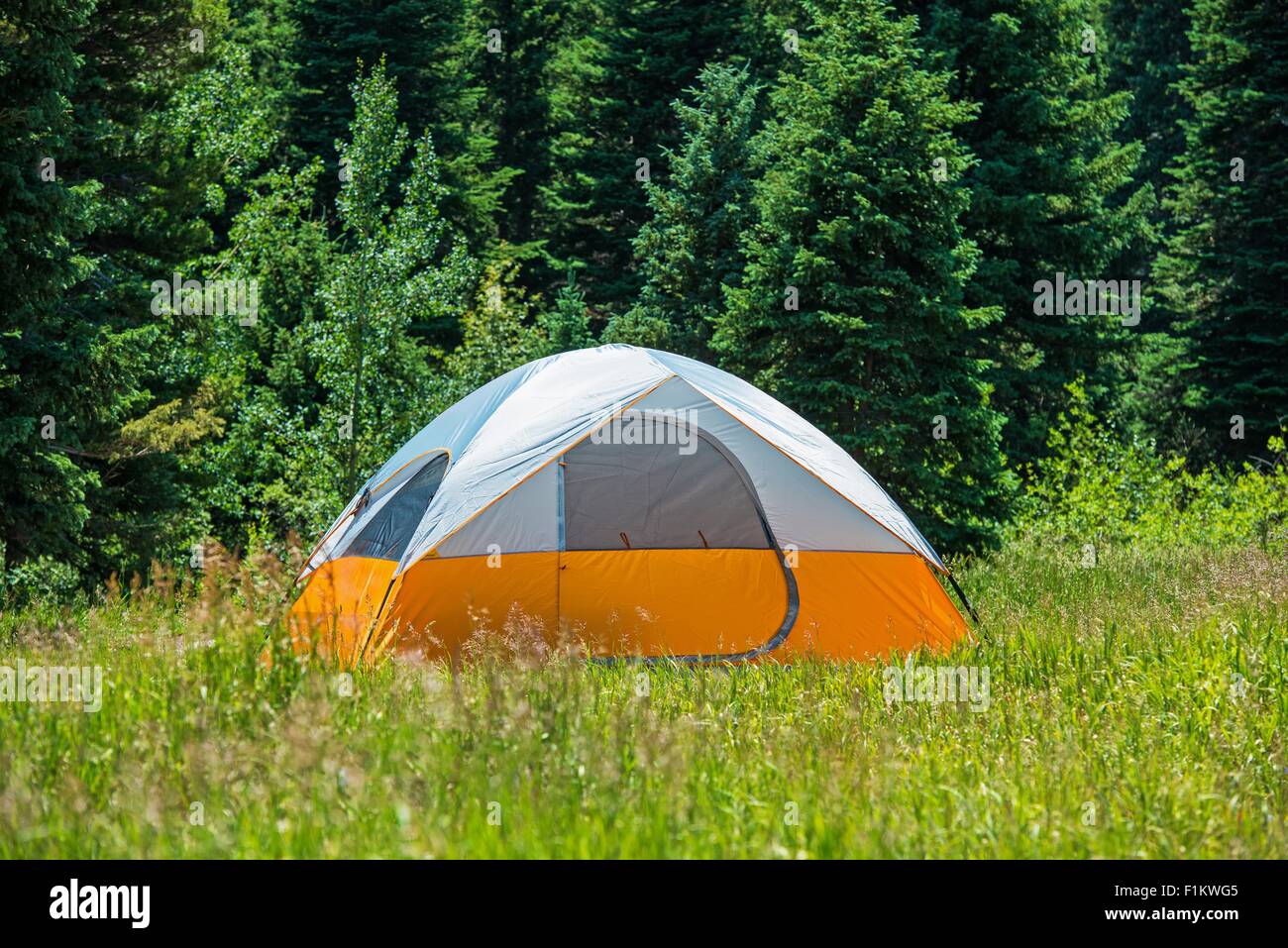 Tent on the Green Meadow. Orange-Blue Tent. Stock Photo
