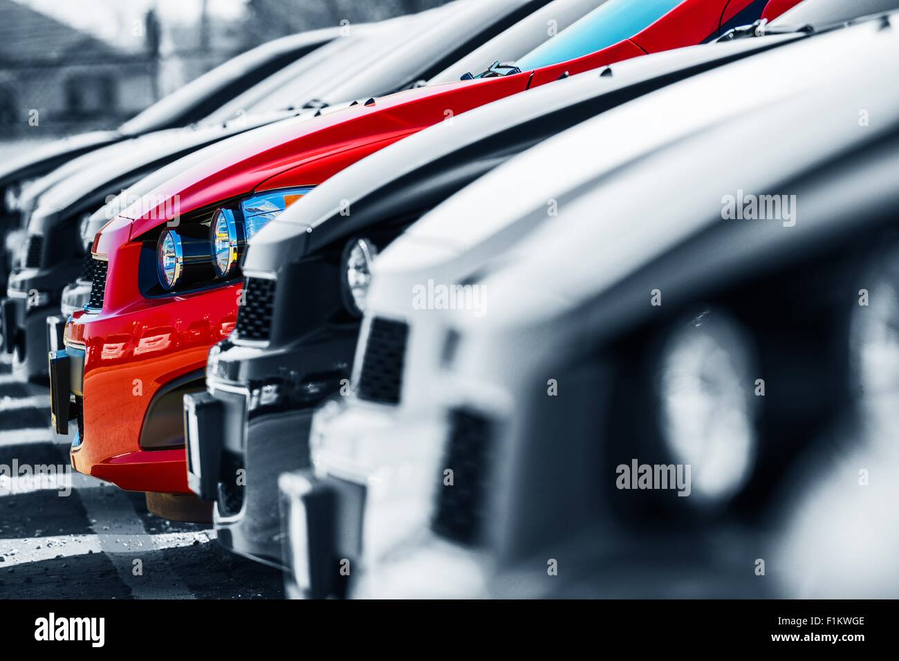 The One. Car Choice. Cars Stock with Only One Red Car. One Special Car Stock Photo