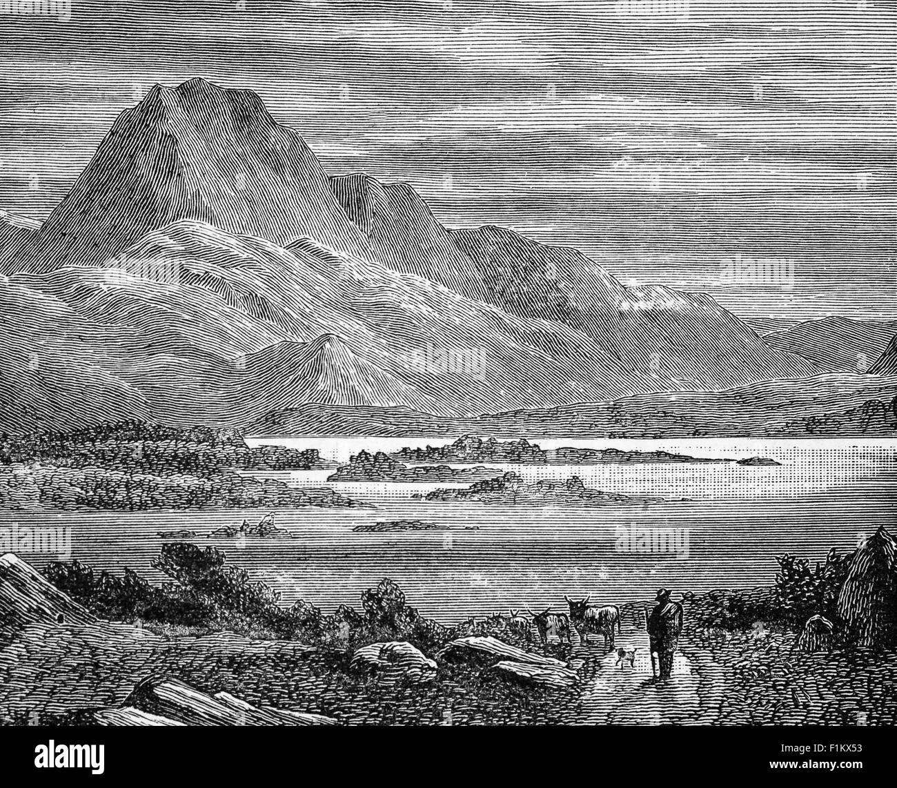 19th Century view of a cattle herdsman above Lough Maree, Ross-Shire, Scotland. The lake contains many islands, the largest of which Eilean Sùbhainn, contains a loch that itself contains an island,a situation that occurs nowhere else in Great Britain. Isle Maree holds the remains of a chapel believed to be the 8th century hermitage of Saint Máel Ruba who founded the monastery of Applecross in 672. Stock Photo