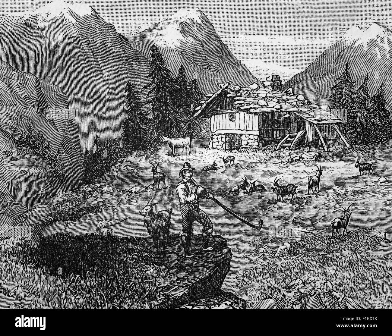 19th Century goatherd playing the Alphorn, near a shelter in the Swiss Alps. Stock Photo