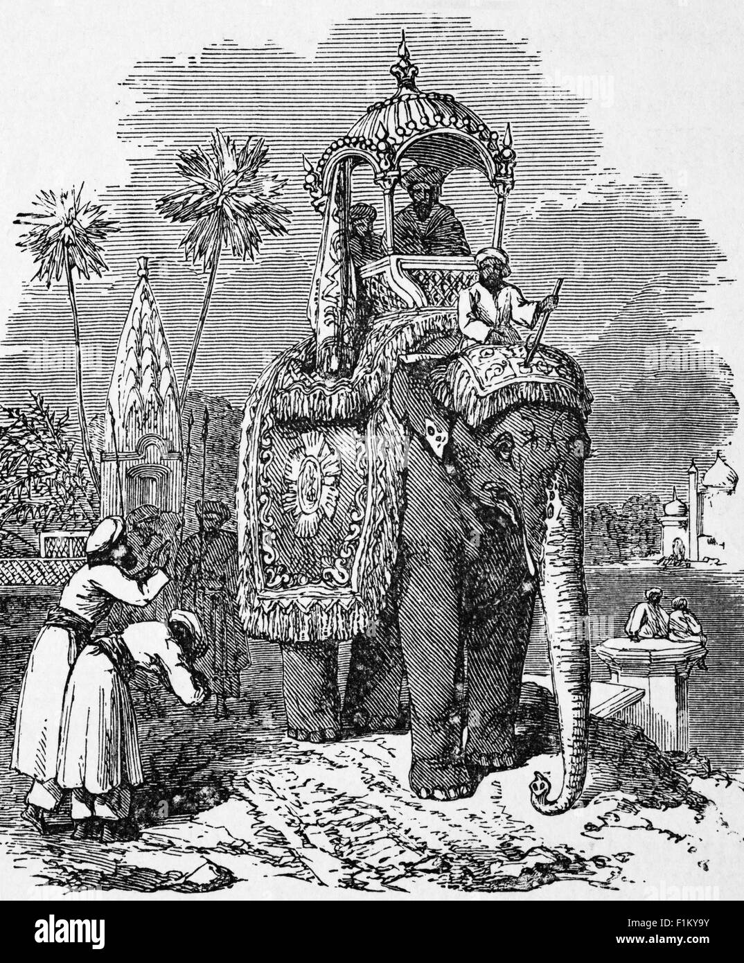 A 19th Century view of an Elephant with A Howdah, a seat for riding on the back of an elephant or camel, typically with a canopy and accommodating two or more people, India Stock Photo
