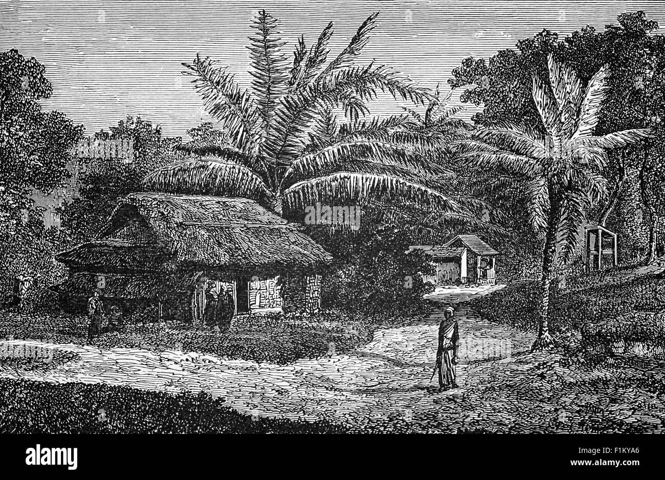 A 19th Century view of a village Near Colombo,Ceylon (now Sri Lanka