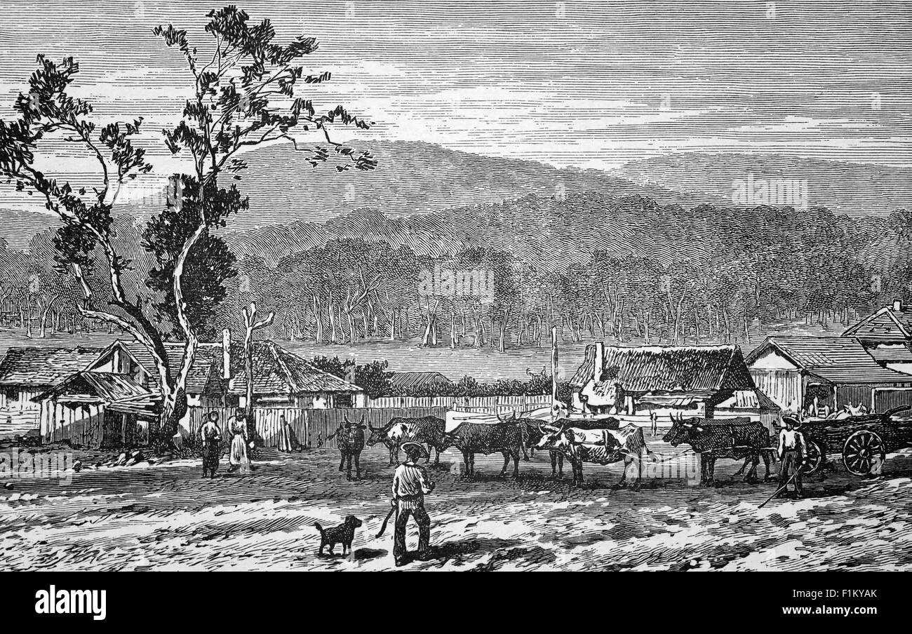 A view of a squatters settlement, occupiers of crown grazing land beyond the prescribed limits of settlement in 19th-century Australia. contributed to the growth of the country's wool industry and