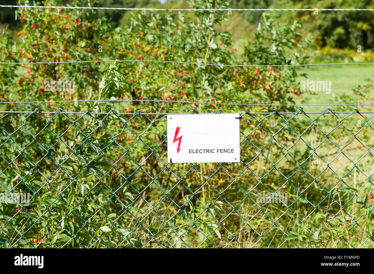 Electric fence with warning sign to prevent shock Stock Photo