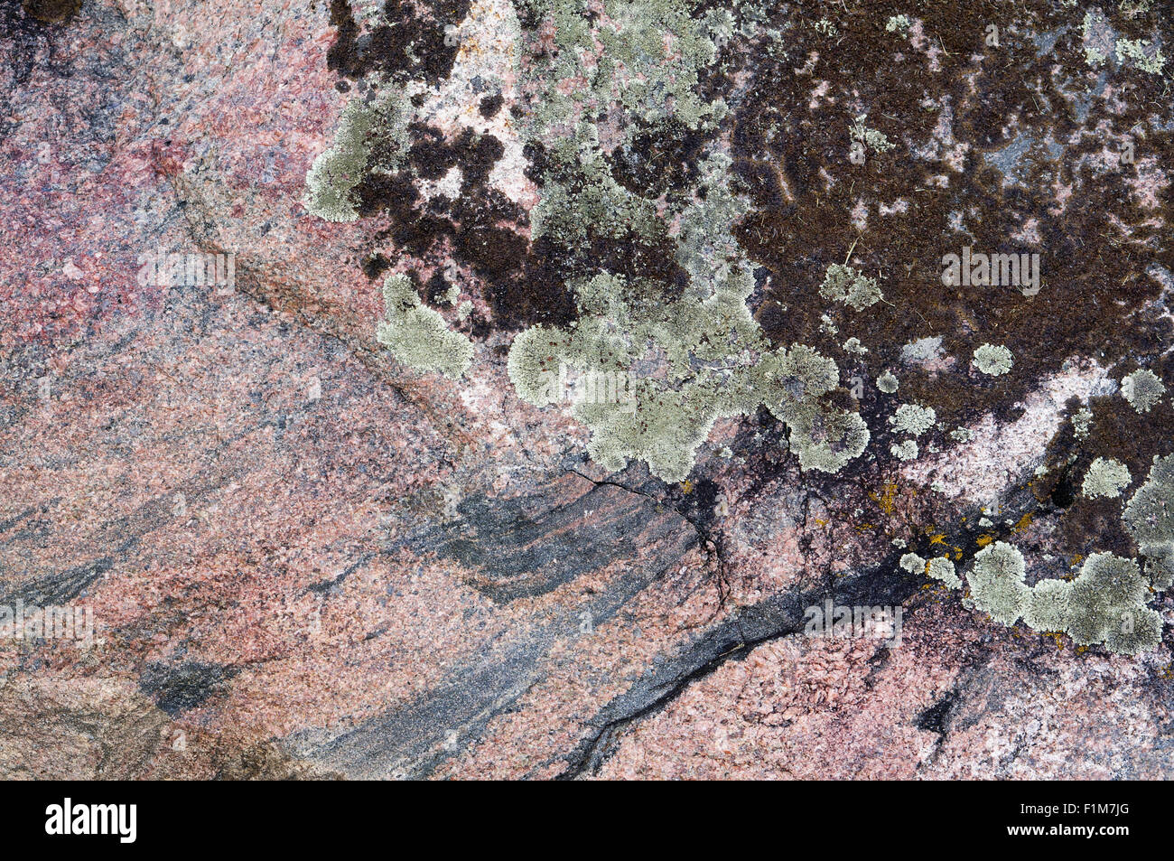 Texture of skin of a cracked old granite stone surface abstract real ...