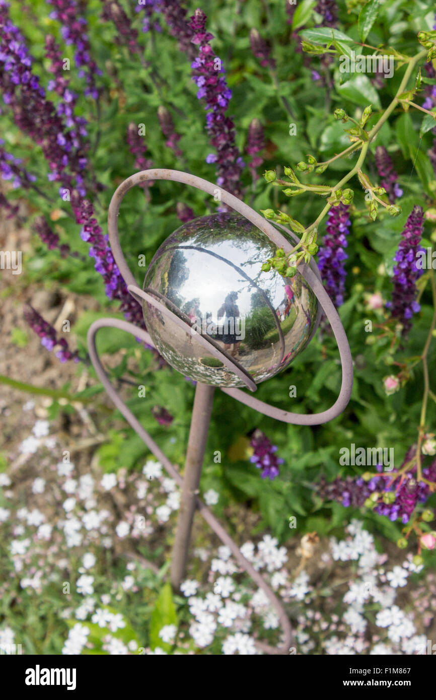 Perennial with sage and silver Rose Globe Stock Photo