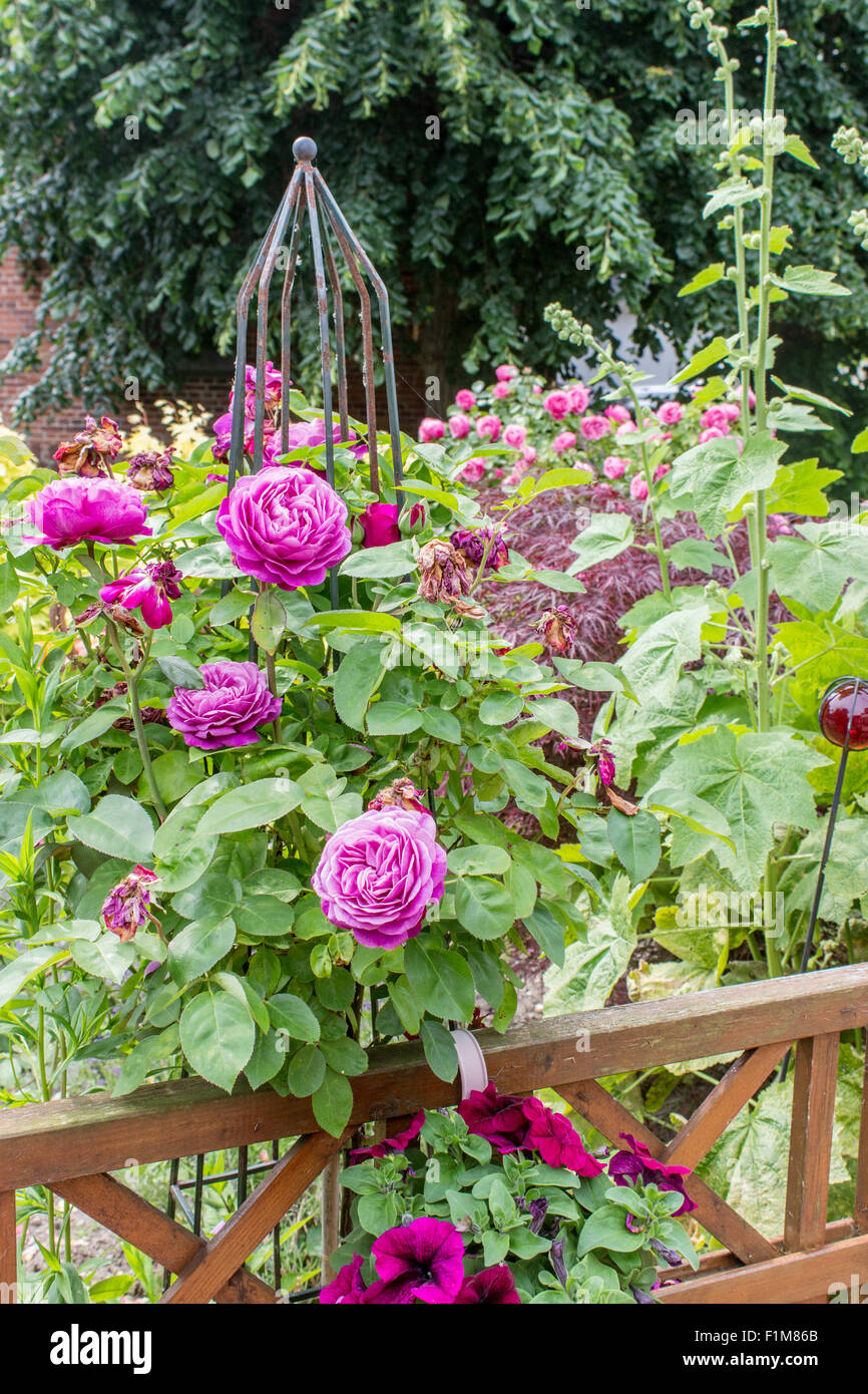 Garden fence with hollyhocks hi-res stock photography and images - Alamy