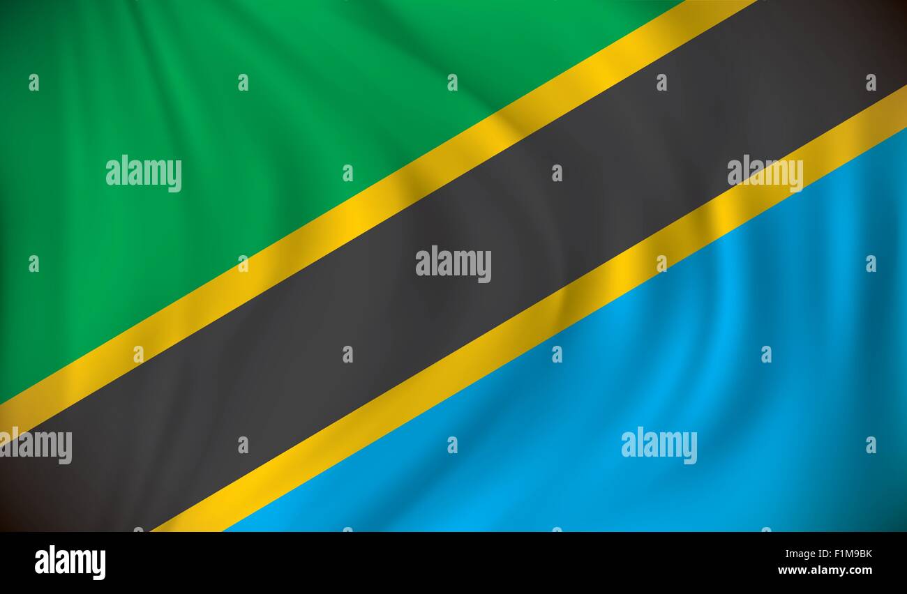 Flag of Tanzania - vector illustration Stock Vector Image & Art - Alamy