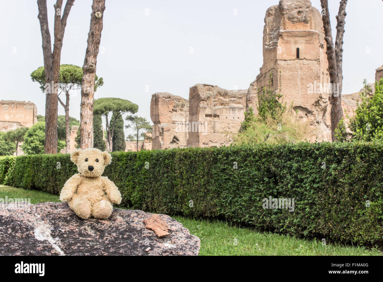 Teddy before the Baths of Caracalla in Rome Stock Photo